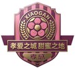 宜昌队
